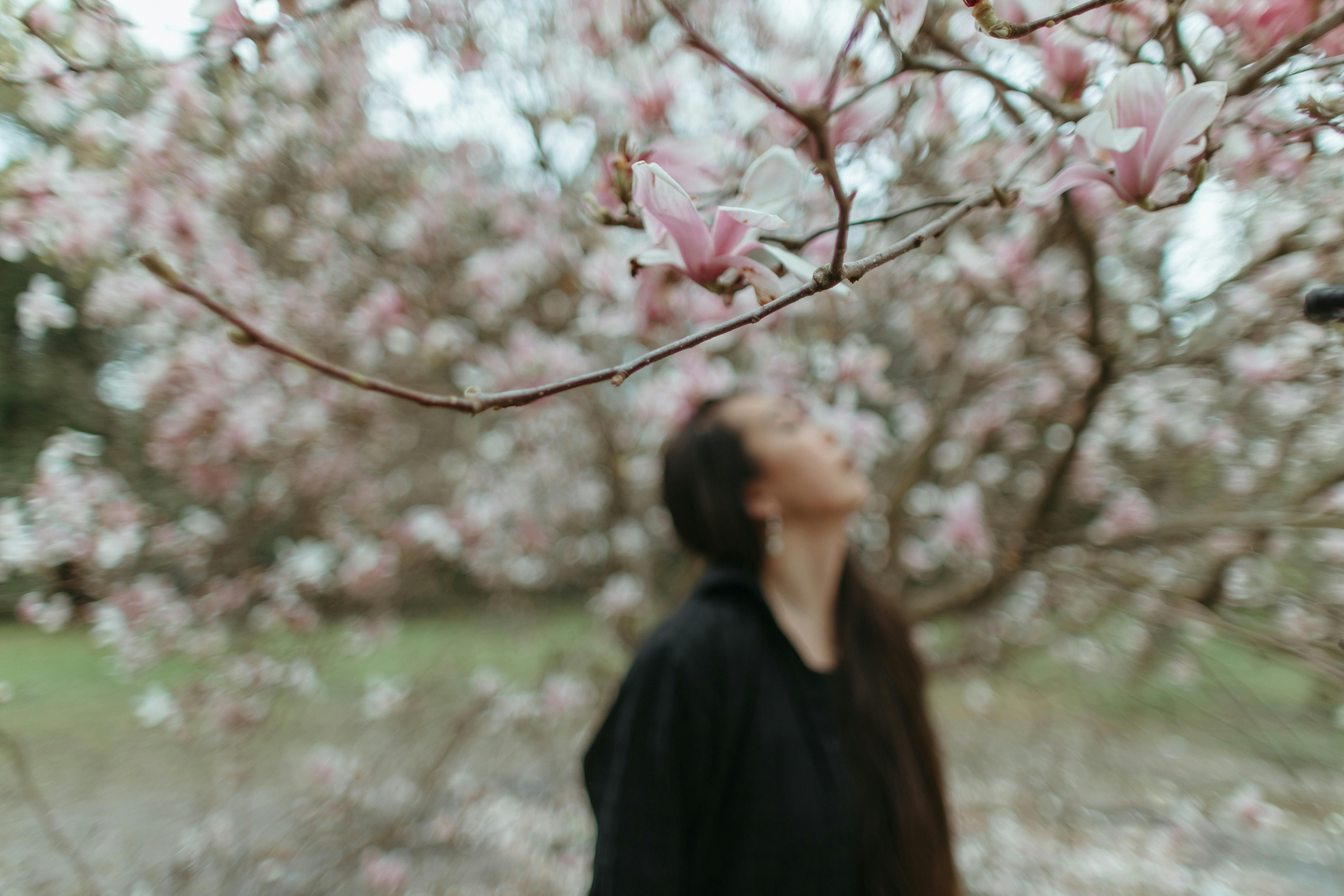 Magnolia’s AAA Hobbies To Close 2026 (Second Half). Iconic Hobby- Craft Emporium — Photo by Yaroslav Shuraev on Pexels