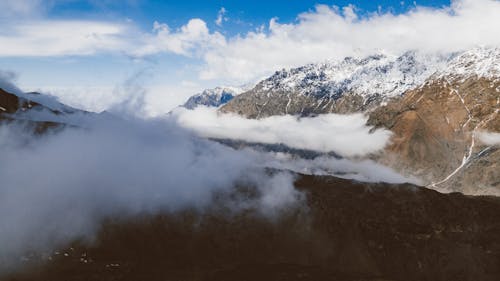 Highland covered in Fog 