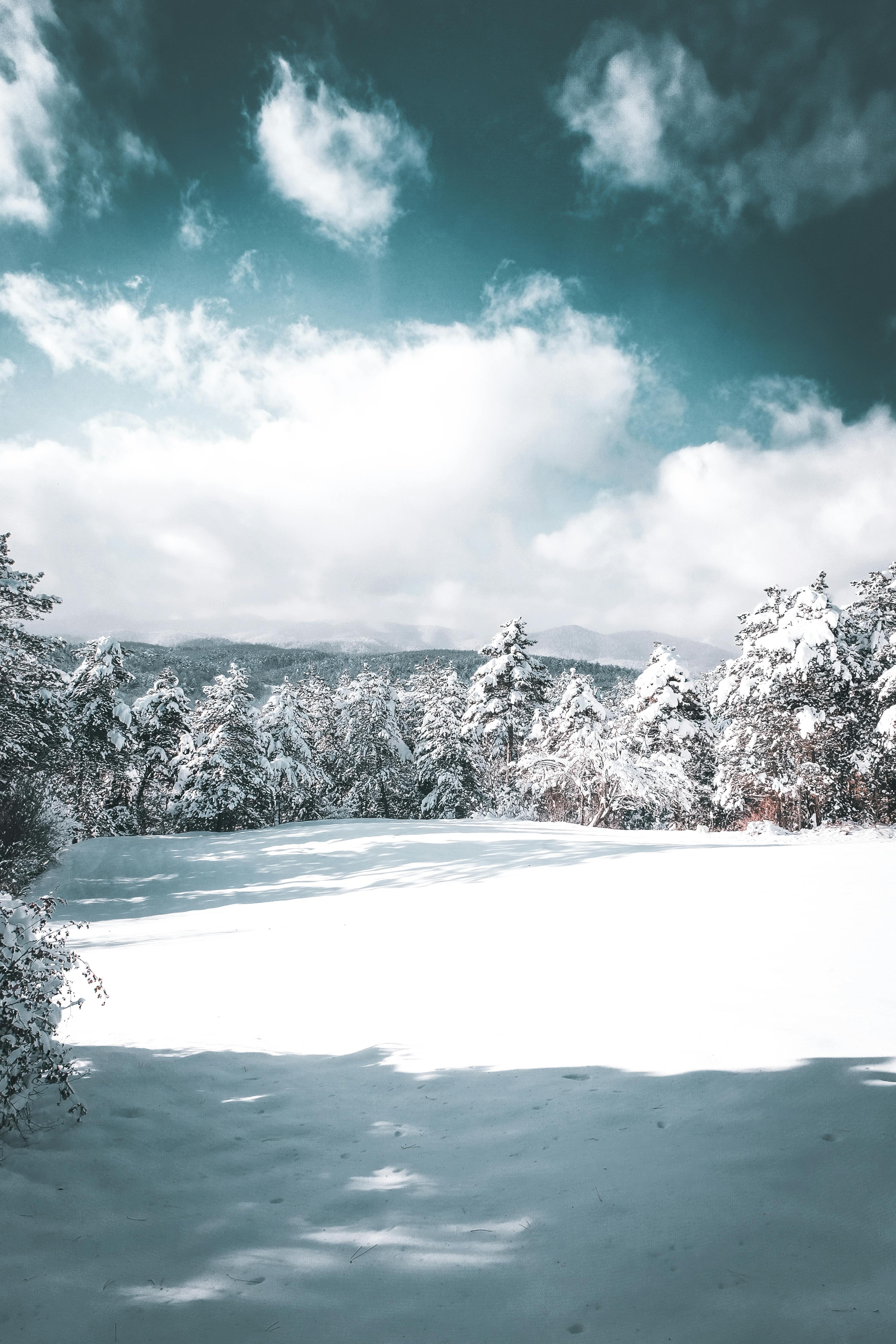 Free winter wallpapers for download - Meks