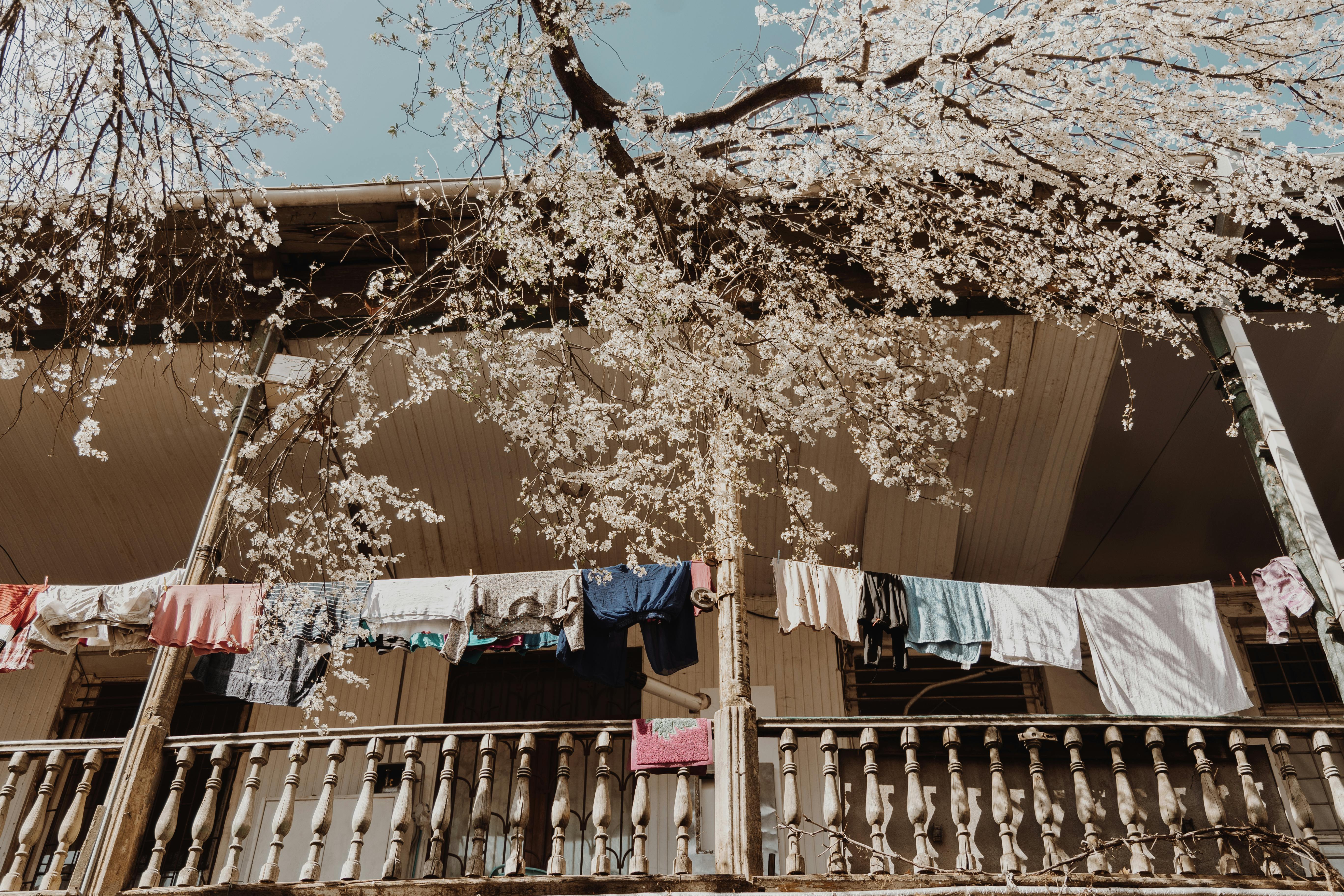Give your home a spring reset for less than $100 with these DIY home improvement projects — Photo by ROMAN ODINTSOV on Pexels