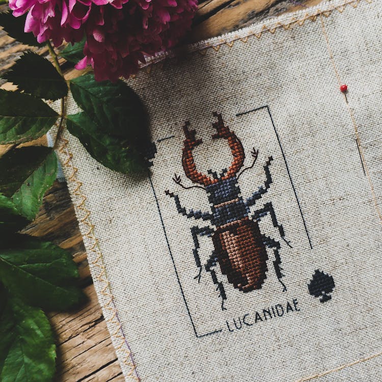 Embroidered Lucanidae Beetle Near Flower