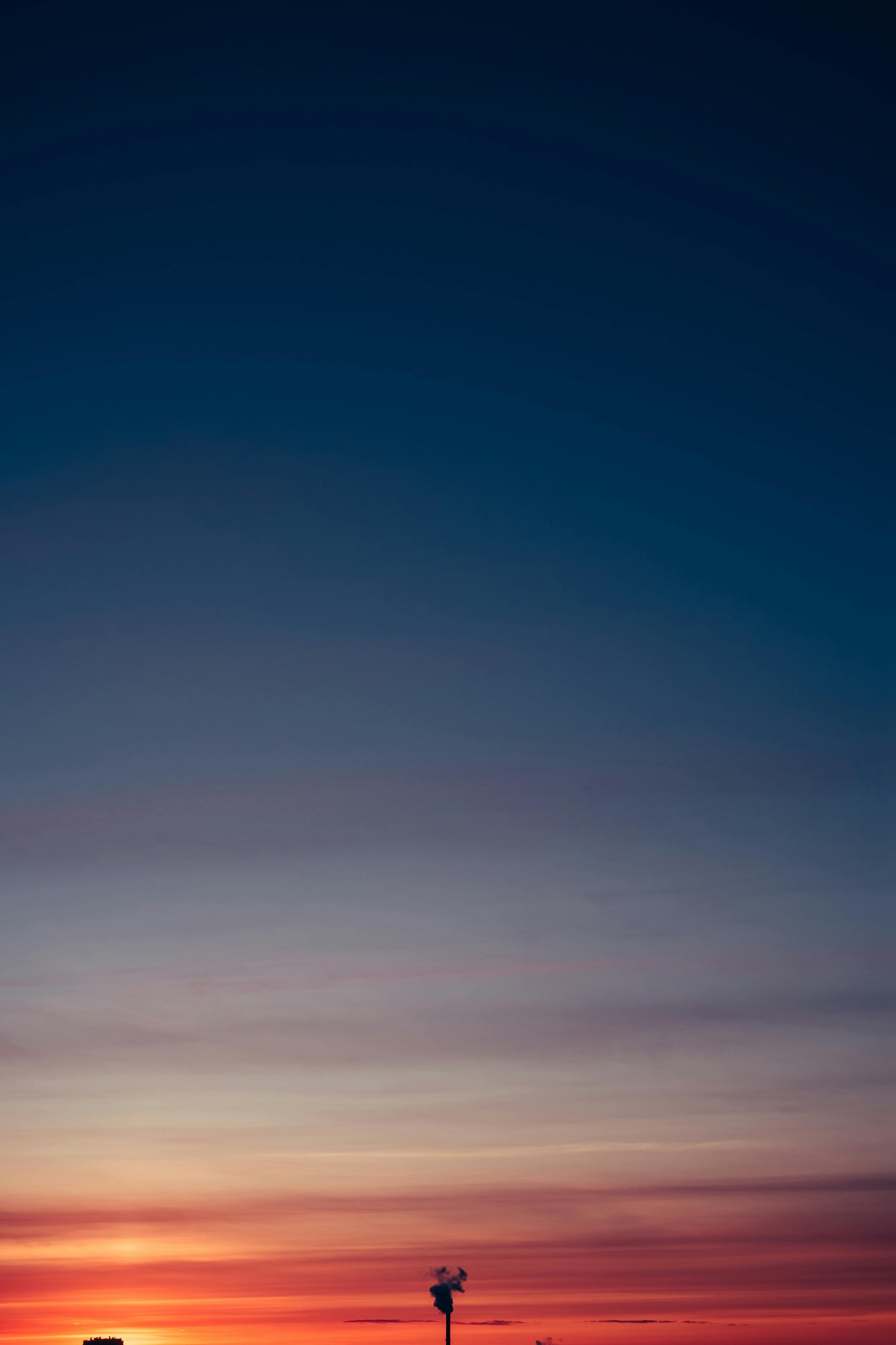 Silhouette of lonely tall tree under bright multicolored sky with clouds at sunrise