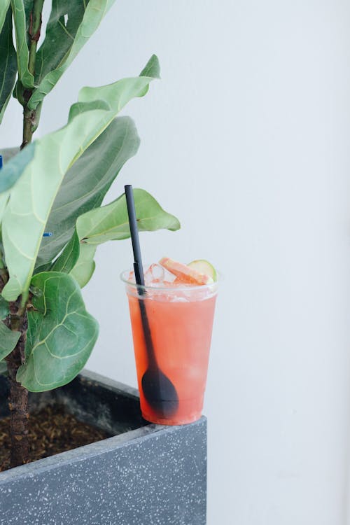 Drink on a Plant Box