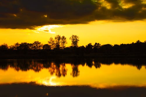 Reflections of Trees on Body of Water During Sunset