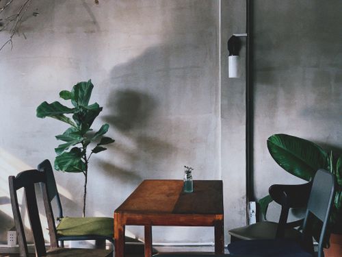 Free Old comfortable chairs placed near wooden table in cozy room with potted plants against rough cement wall Stock Photo
