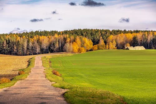 Fall Escapes Worth Booking Across America Now