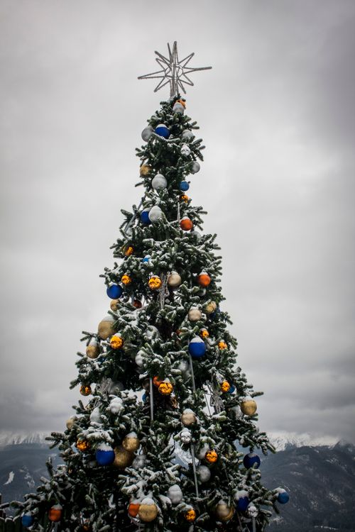 Free Captivating image of a snow-laden Christmas tree with colorful ornaments in Zakopane, creating a festive winter atmosphere. Stock Photo