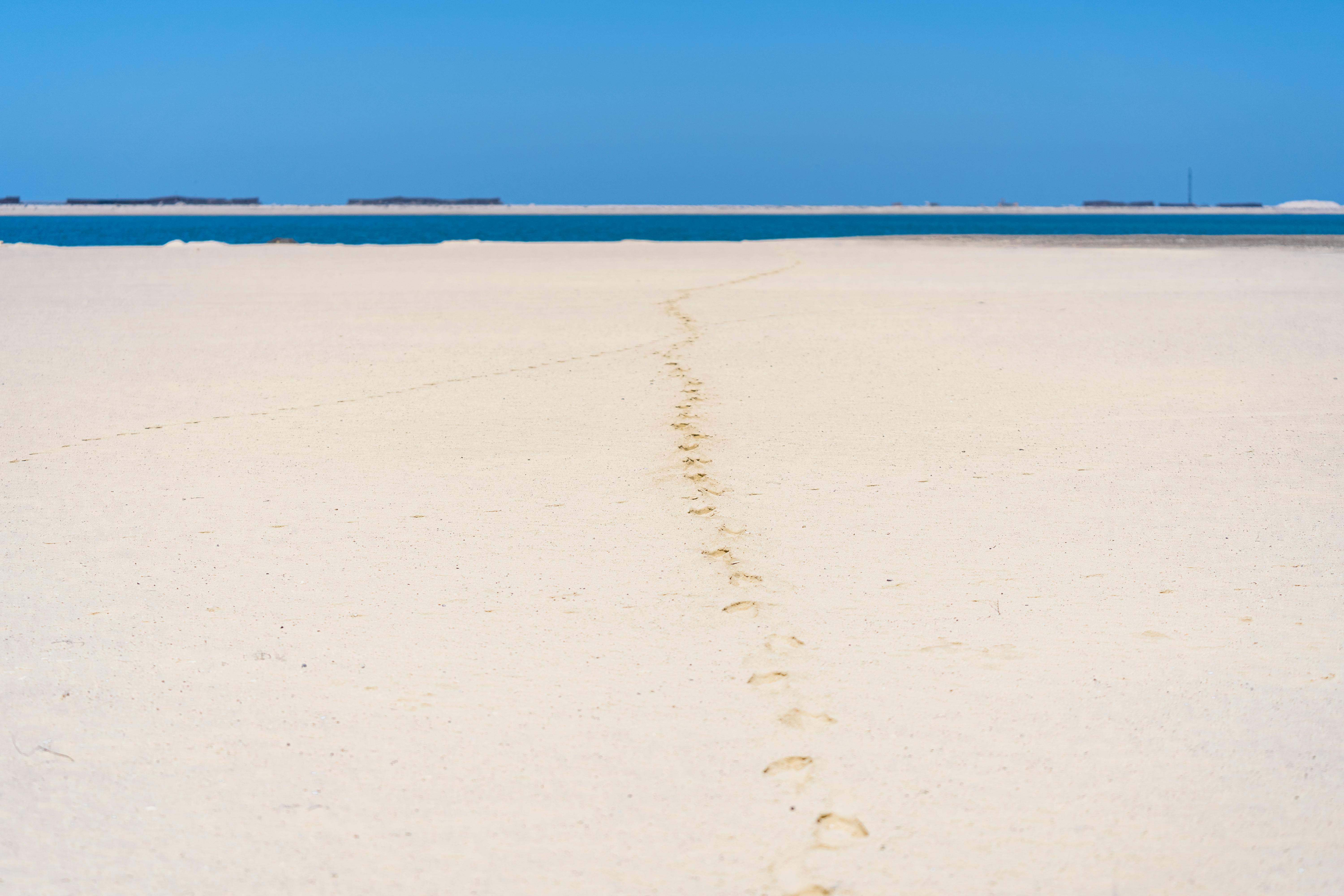 Footprints trail across a pristine, white sandy beach in Dubai, leading toward the tranquil blue sea under a clear sky.