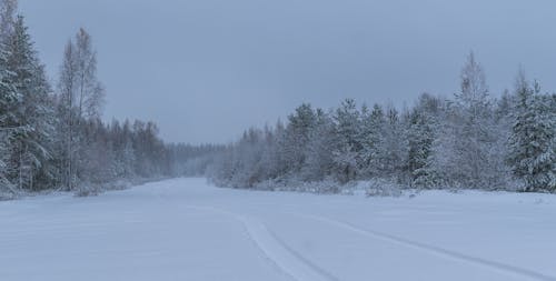 Ücretsiz Snowfield Manzara Fotoğrafçılığı Stok Fotoğraflar