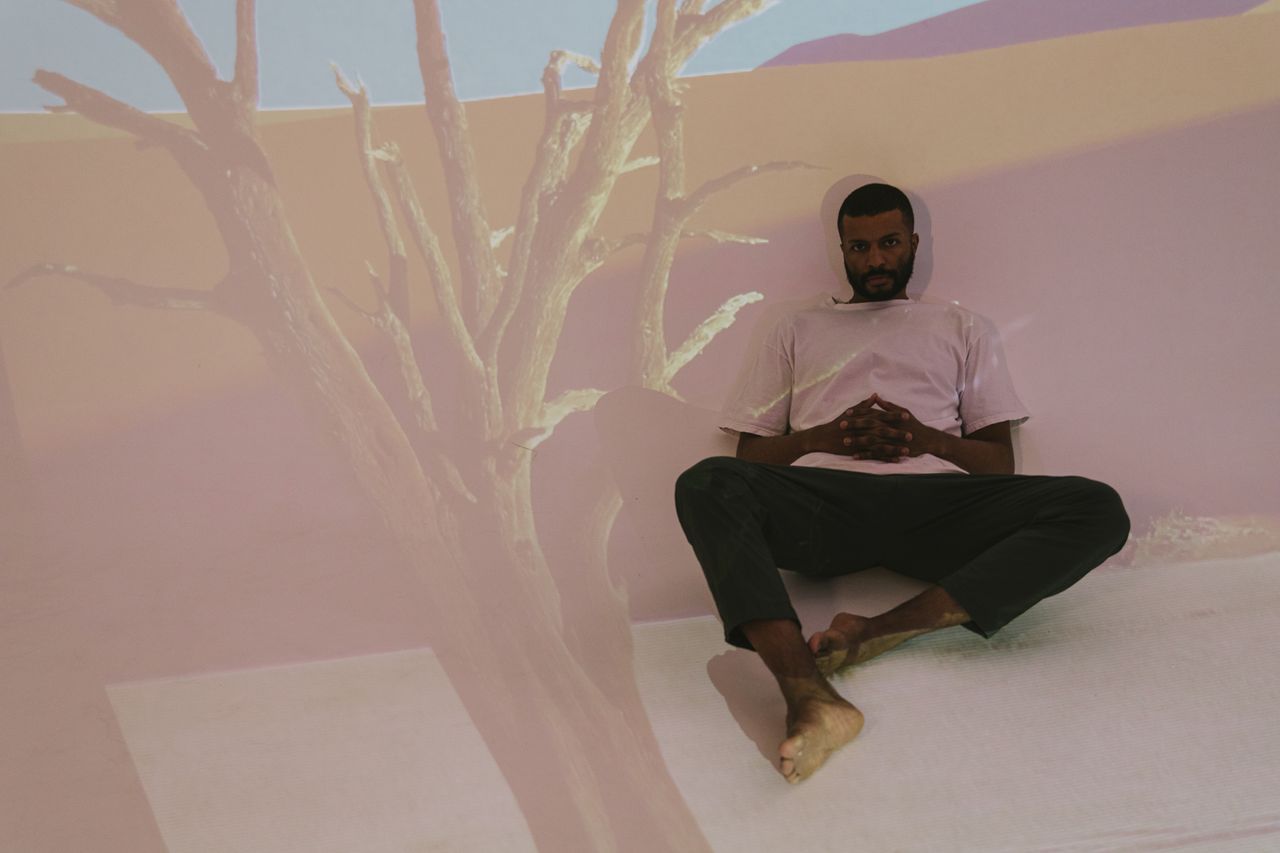 a contemplative man sits indoors with a tree s shadow cast on the wall