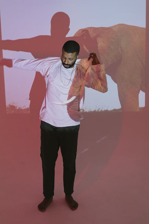 Man in White Shirt with Elephant Image Reflected on Shirt