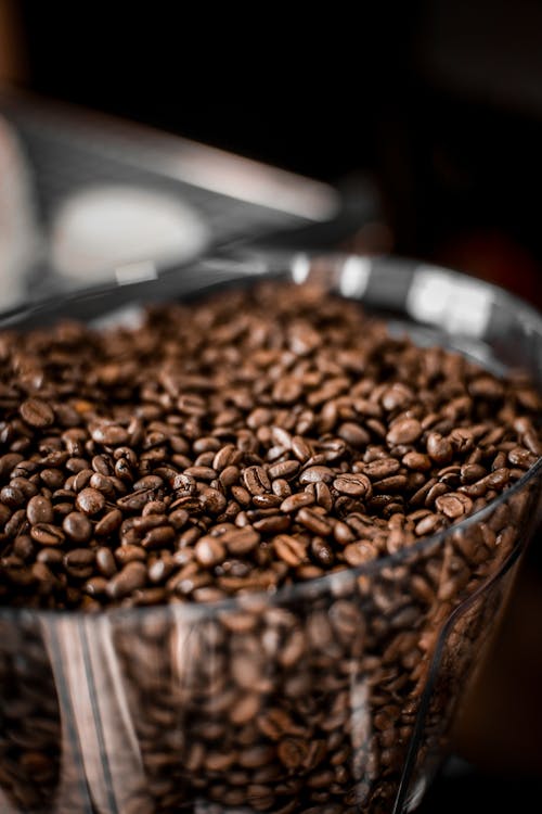 Free Coffee beans in deep plastic cup of grinder Stock Photo