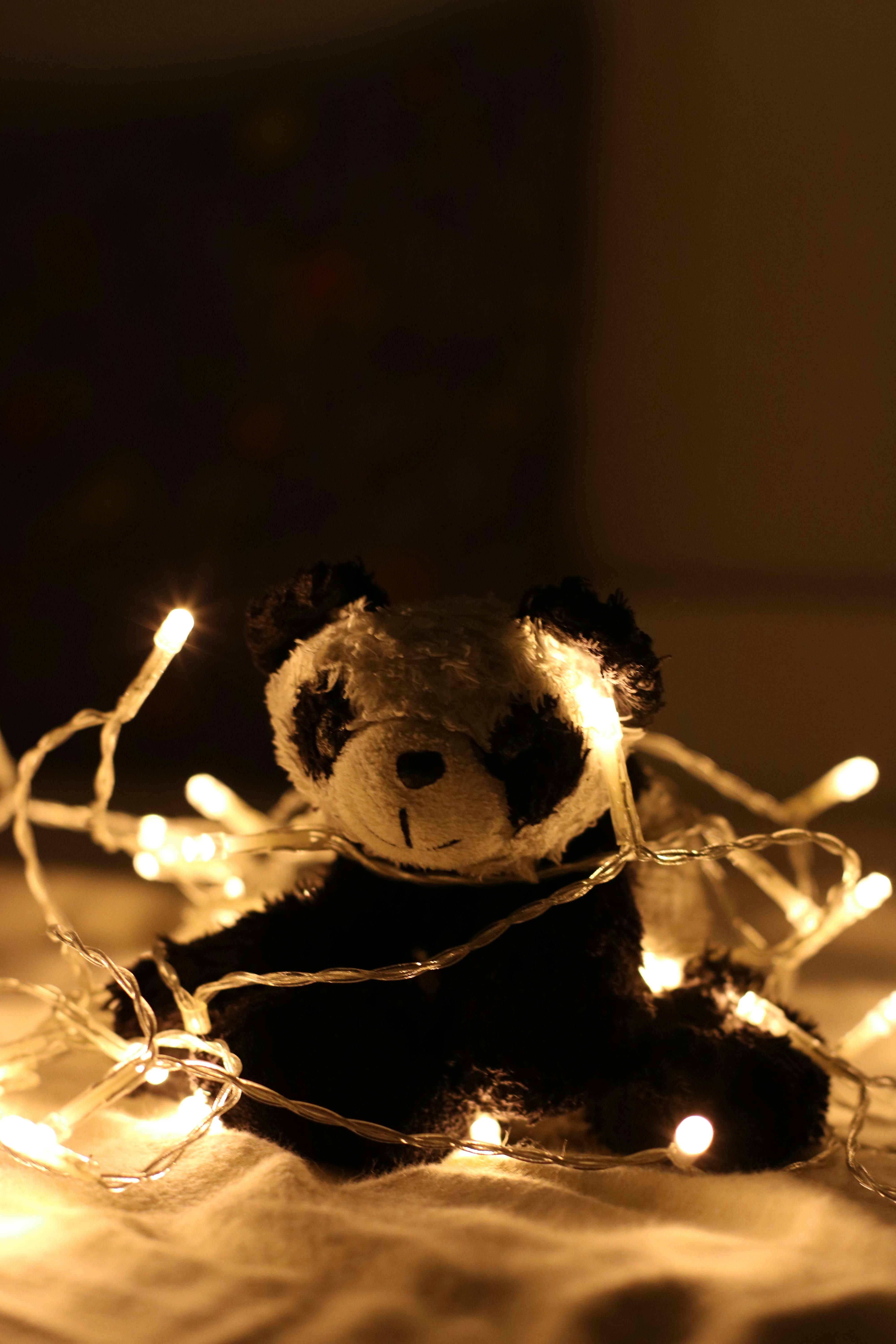 Panda Plush Toy Surrounded by Beige Light Strings