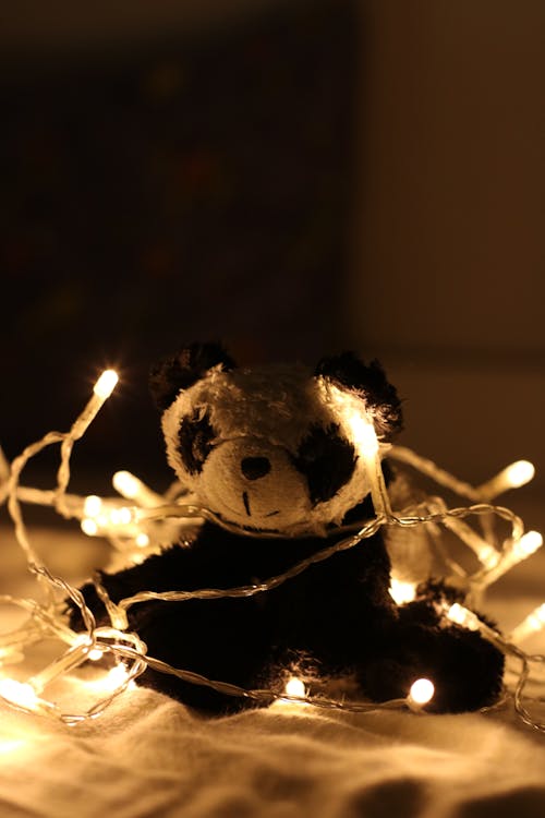 Free Panda Plush Toy Surrounded by Beige Light Strings Stock Photo