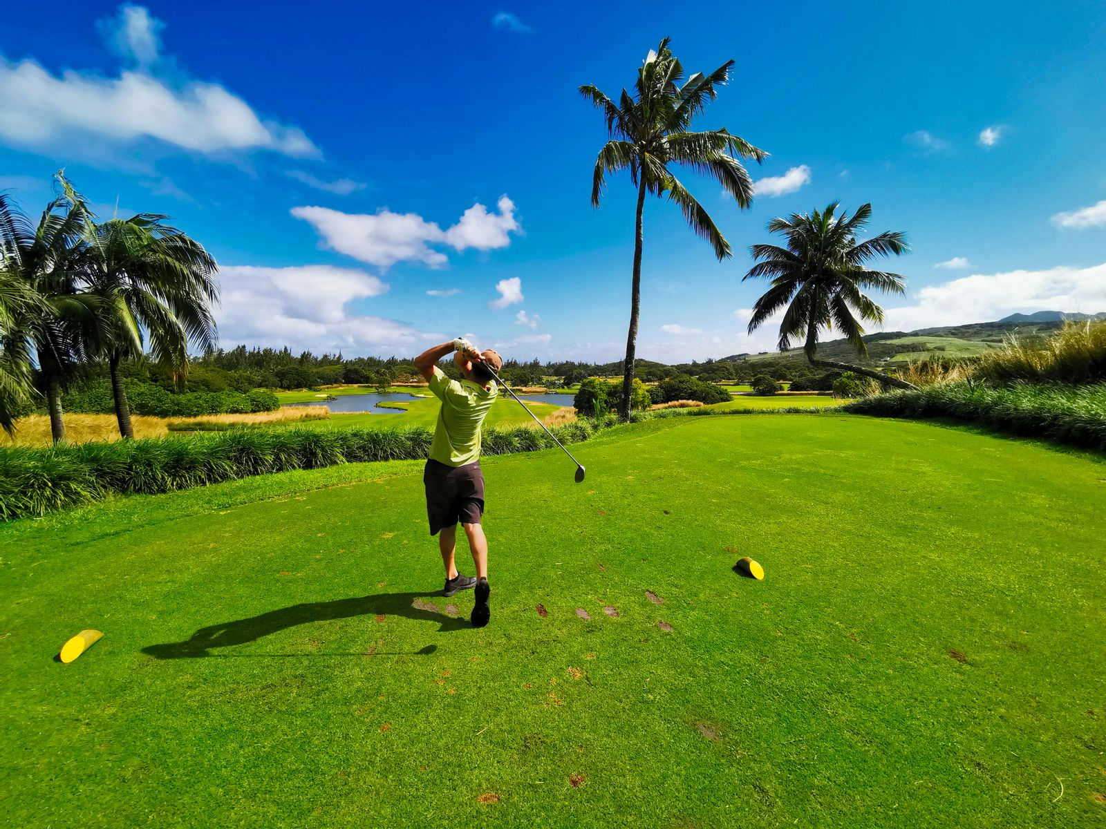 A golfer with a driver on a fairway lined with palm trees in Mauritius