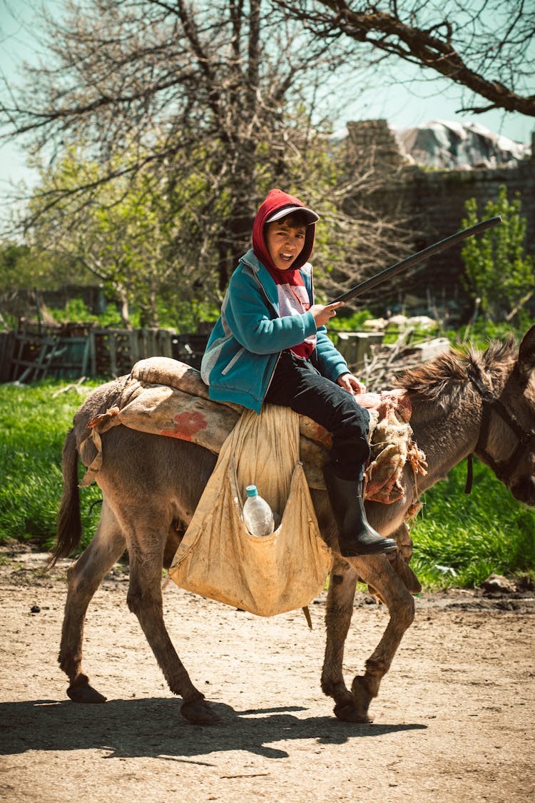 Boy Riding Donkey In Countryside