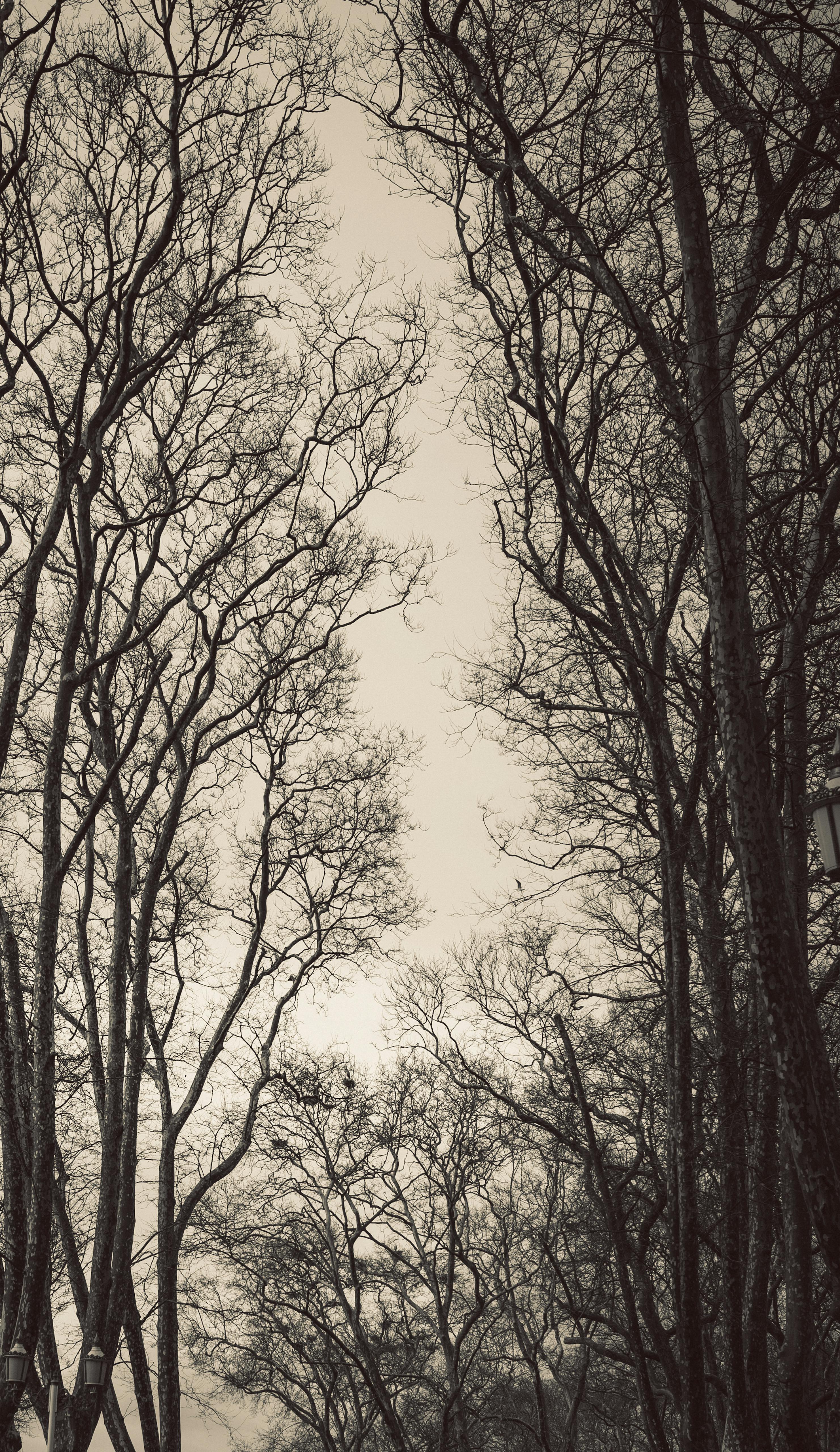 How do you keep thin wood from cracking when drilling?