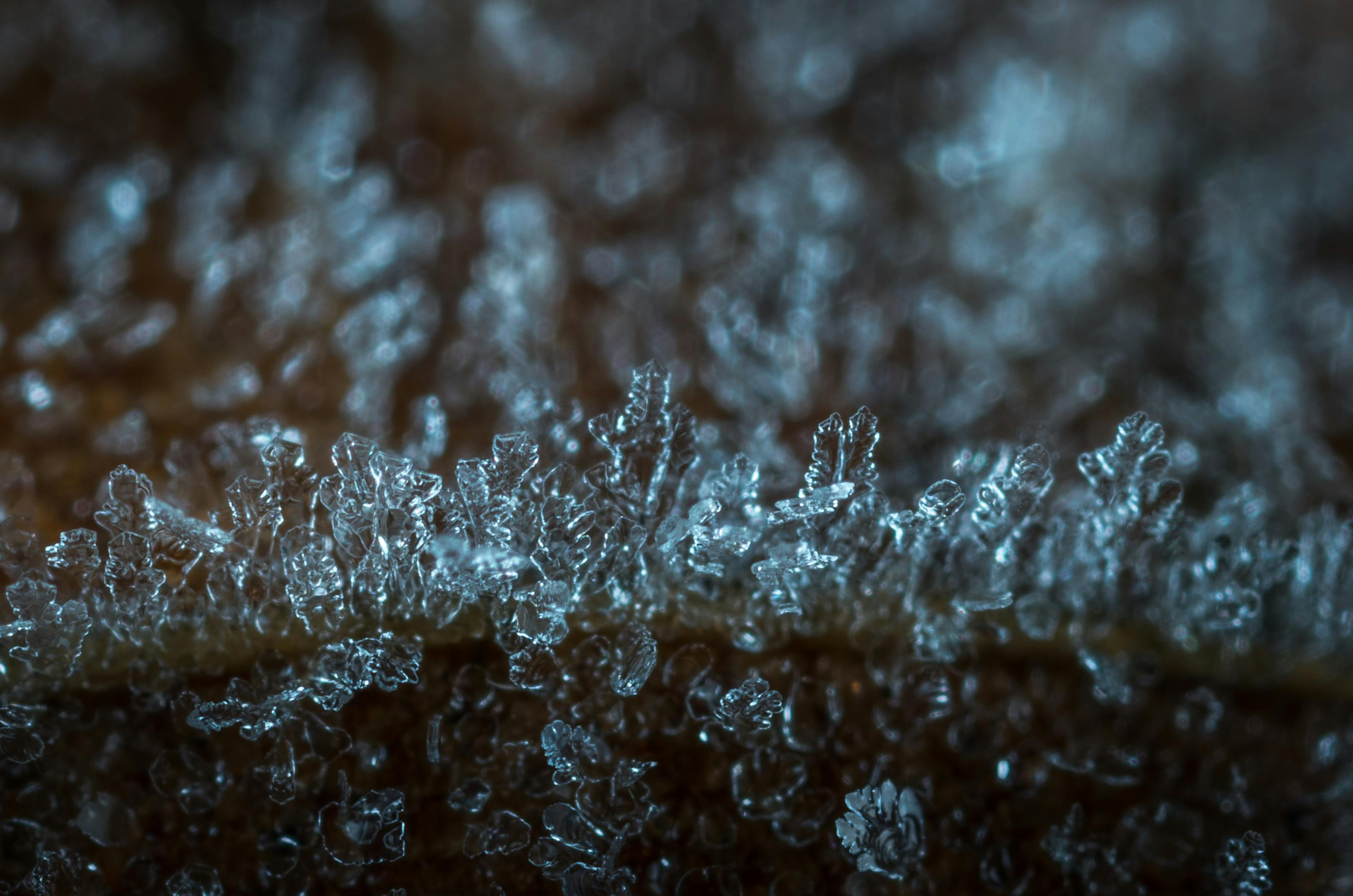 Free stock photo of frost, macro