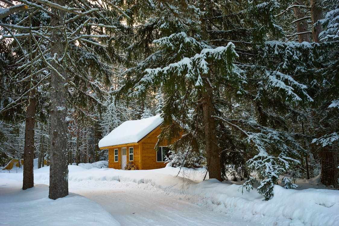 Bruin Huis In De Buurt Van Pijnbomen Bedekt Met Sneeuw