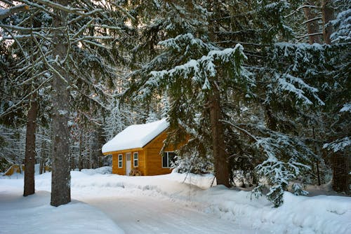 Snow Already? The States Most Likely to See the First Flakes