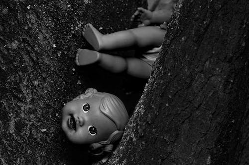 Безкоштовне стокове фото на тему «кора дерева, лялька, монохромний»