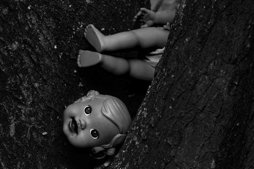 Free A creepy black and white image featuring a dismantled doll lodged in a tree trunk. Stock Photo