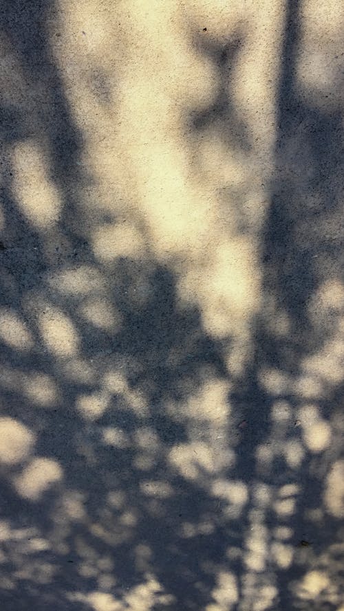 Free stock photo of light and shadow, muro, shadow