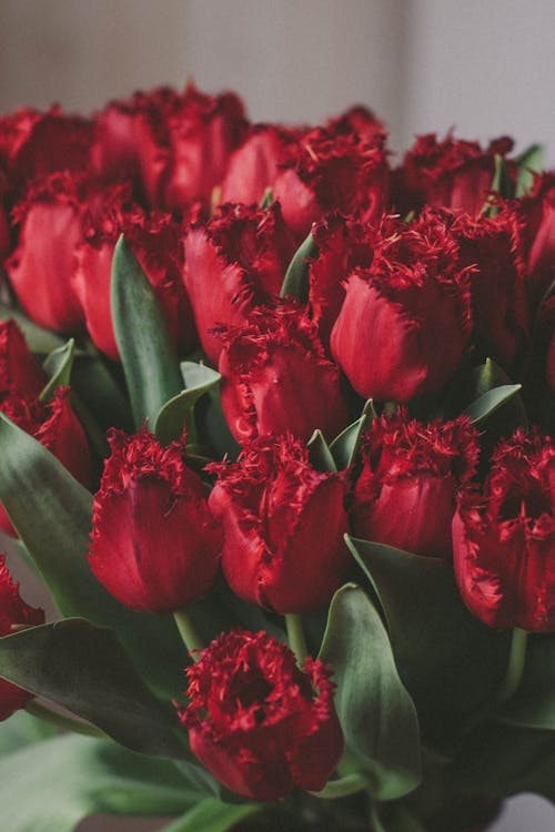 Artificial Red Tulips