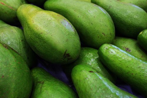 Free A pile of fresh, green avocados, perfect for healthy eating and vibrant recipes. Stock Photo