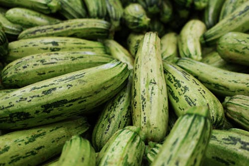 Fresh Green Cucumbers 