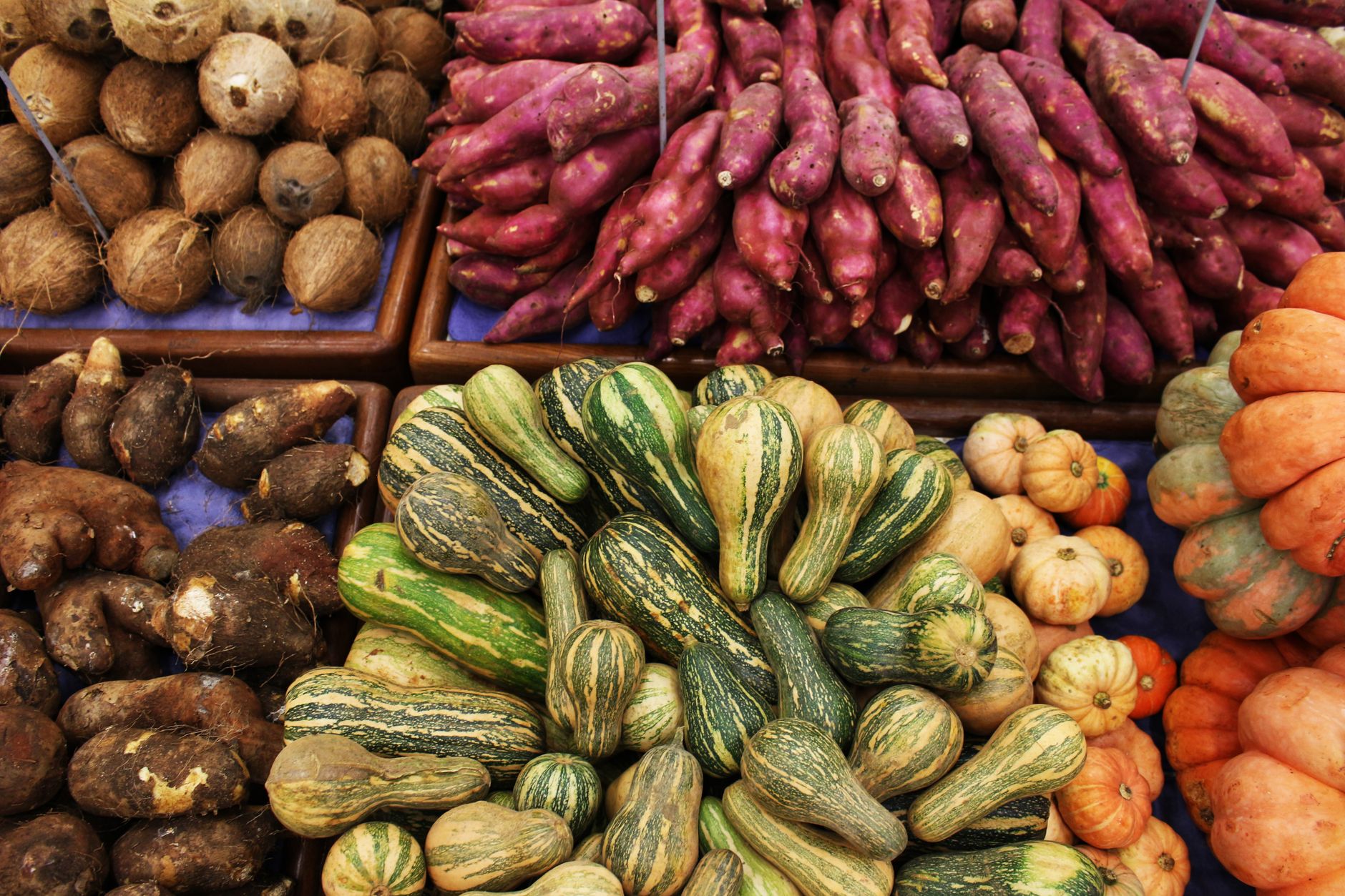 Colorful assortment of fresh vegetables including squash, coconuts, sweet potatoes, and yams at a market.