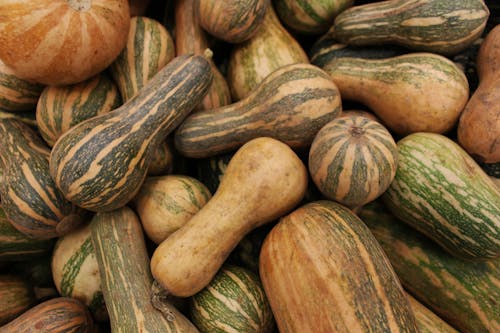 Brown and Green Gourd Vegetable