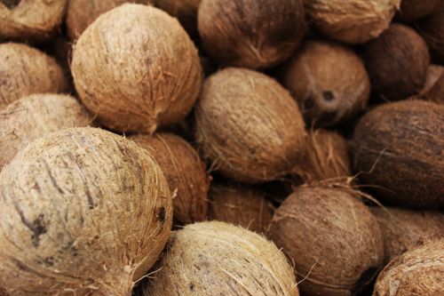 Free Close-up view of whole tropical coconuts with brown, rough shells, ideal for organic and nutritious themes. Stock Photo