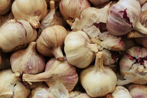 Fresh Garlic in Close-up Photography