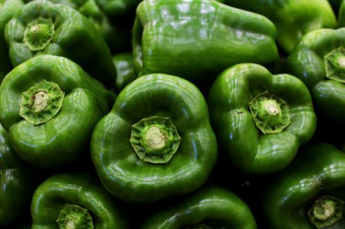 Free Close-up photo of fresh green bell peppers showcasing their vibrant organic quality. Stock Photo