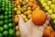 Orange Fruit on Persons Hand
