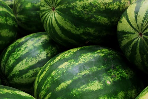 Close-Up Shot of Watermelons