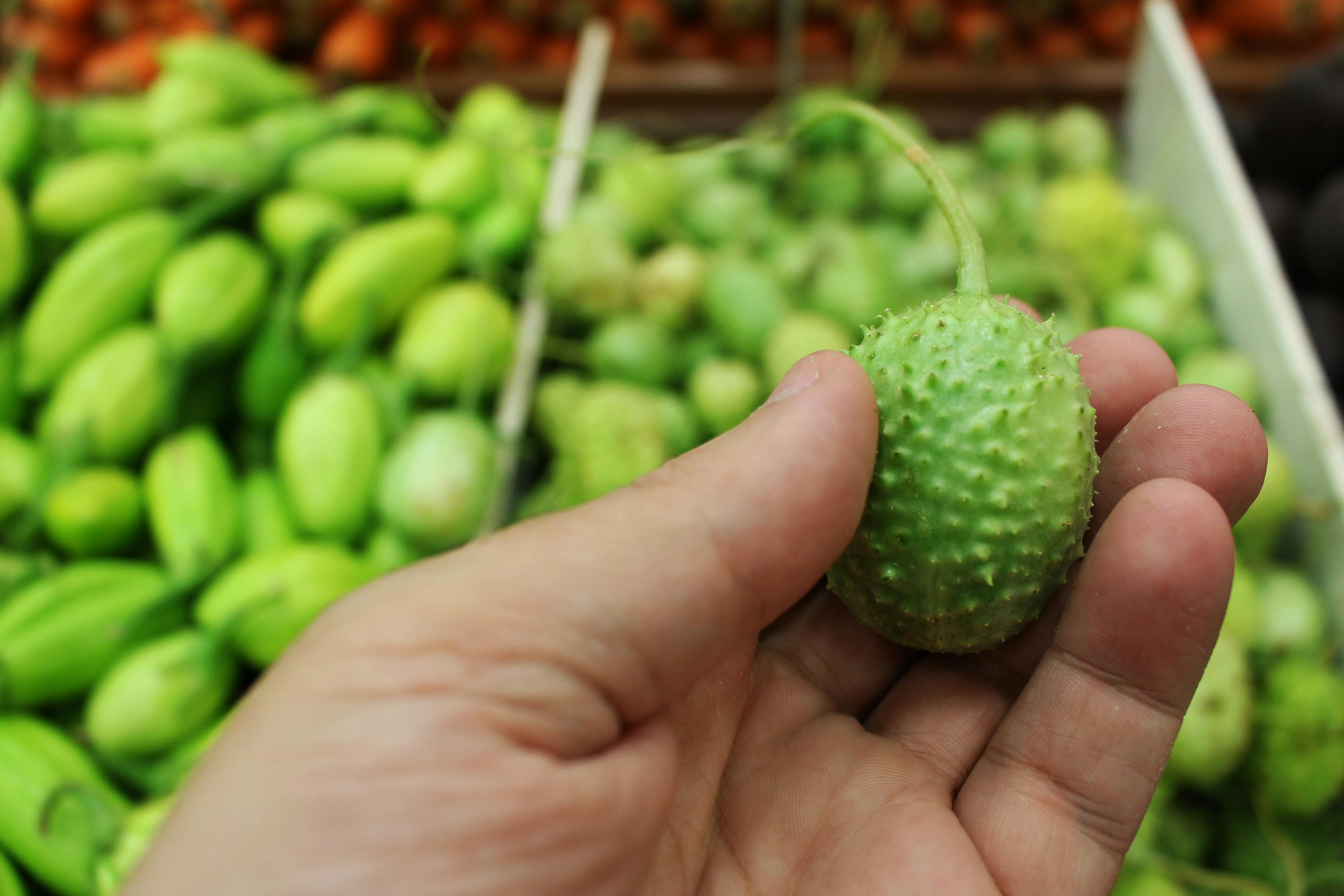 A person holding a small spiny green fruit with blurred background in a market setup.