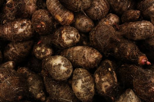 Close-Up Shot of Yams