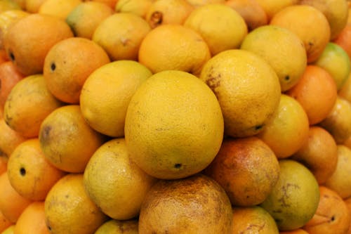 Close-Up Photo of Orange Fruits