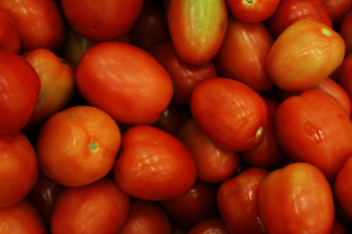 Безкоштовне стокове фото на тему «впритул, здоровий, помідори»