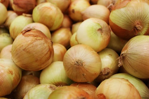 Free Close Up Photo of White Onions  Stock Photo