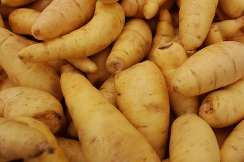 Close Up Photo of Potatoes