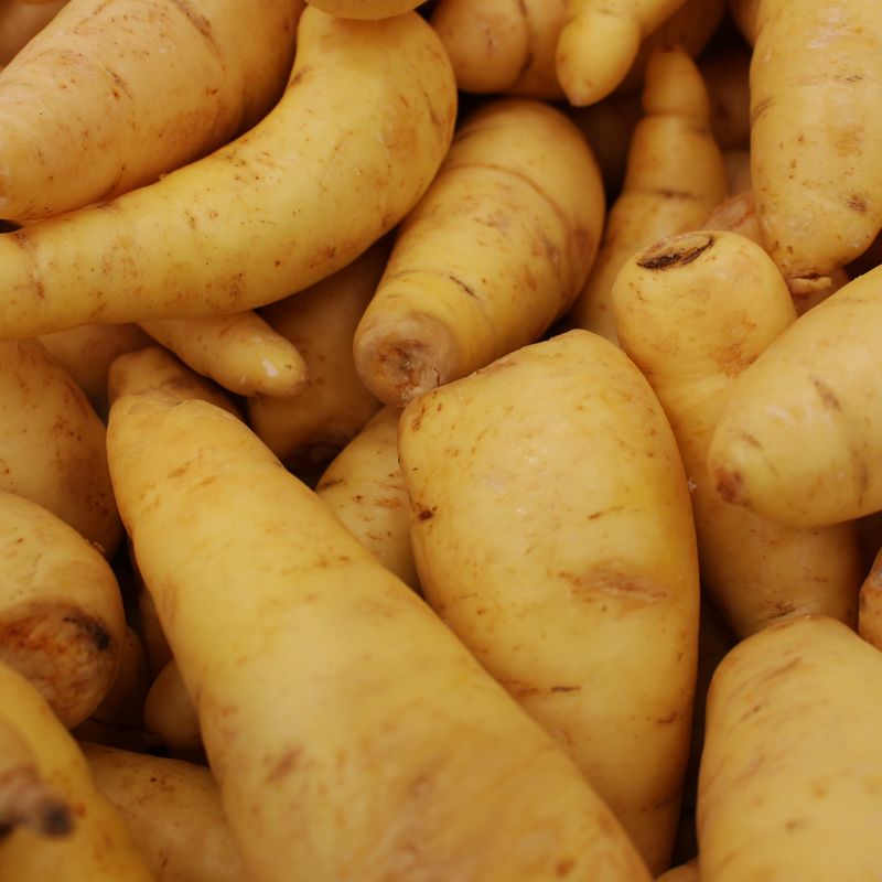 Roasted Fingerling Potatoes with Balsamic Vinegar