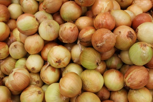 Free Close Up Photo of White Onions Stock Photo