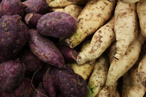 Foto profissional grátis de abundância, ação, batata doce