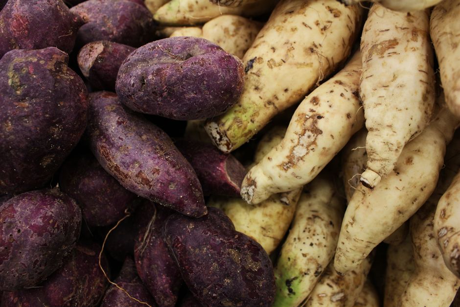 Choosing the Right Potato Varieties for Creamy Perfection