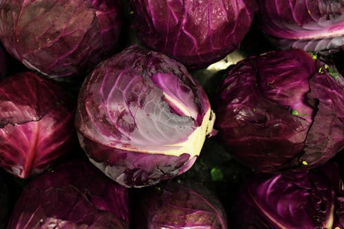 Red Cabbages in Close Up Photography