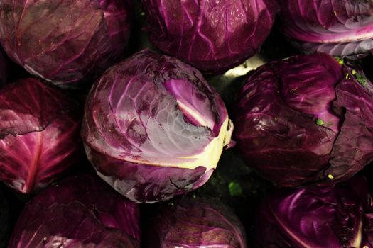 Red Cabbage