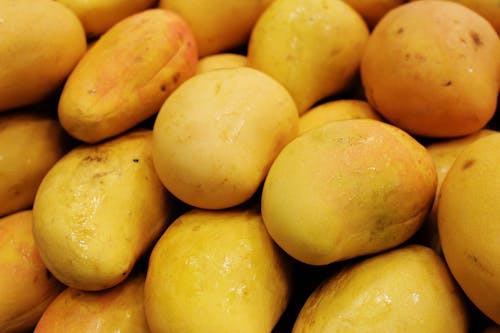 Fresh Yellow Mangoes